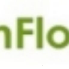 Flowers Delivery in the GCC