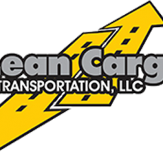 Lean Cargo Transportation