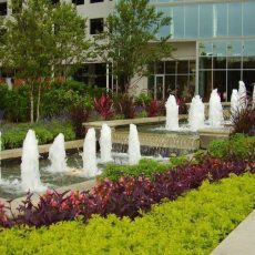 Landscaping Services In Rockville MD | Metallurgy Company Landscaping