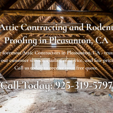 Attic Services of Pleasanton