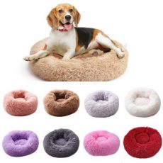 Buy Pet Bowls Feeders