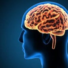 How to Use  Amazin Brain?