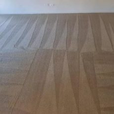Carpet Cleaning Caboolture