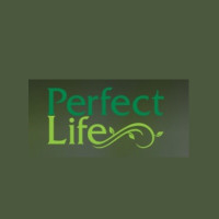 Perfect Life