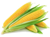 Buy Animal Feeds Wholesale Europe | Buy Grains Wholesale In Europe,